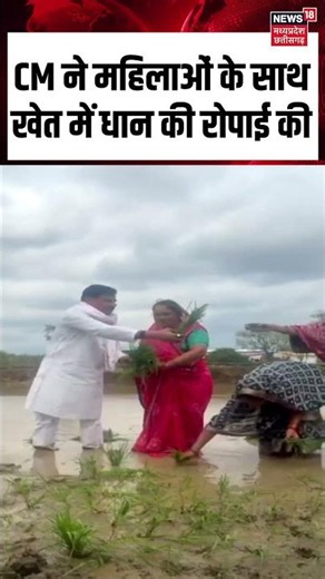 CM Mohan Yadav sowed paddy with farmers Viral Video: CM ने महिलाओं के साथ खेत में धान की रोपाई की