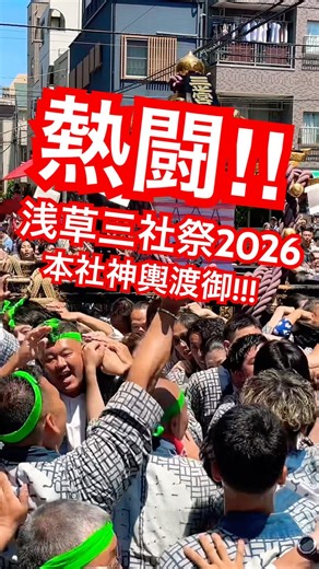 灼熱の本社渡御！浅草三社祭2026 象潟 #shorts #三社祭 #祭り#神輿 #浅草