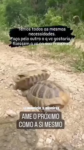 5.7K views · 76 reactions | Tem gente que só sabe criticar, ajudar que e bom não faz, aprende com esse vídeo e tire uma lição!! | Jesus Reina Africa Moçambique | Facebook