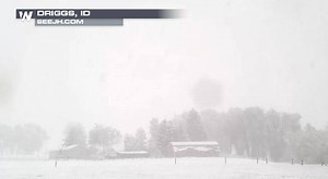 6.4K views · 169 reactions | LK AT THIS The #snow has been falling fast and furiously in Driggs, Idaho today! It might almost unofficially be #summer, but #winter is not going down without a fight. #IDwx | WeatherNation | Facebook