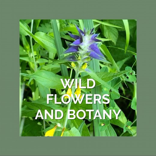 What I love about this place - 3 Plants and Botany This farmed...