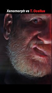 Alien Earth: Xenomorph vs eyeball alien #alienearth #scifi