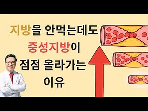 지방을 안 먹는데도 심뇌혈관질환과 지방간의 원인 중성지방이 높아지는 4가지 이유 cause of high triglyceride
