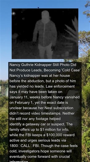 Nancy Guthrie Photo of Kidnapper Produced No Leads ... Becoming 'Cold Case' | #news #shorts