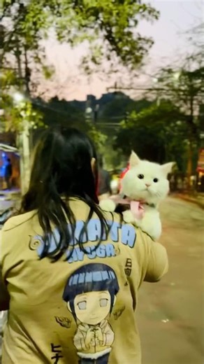 Cat Night Walk 😺#cat #shortsfeed