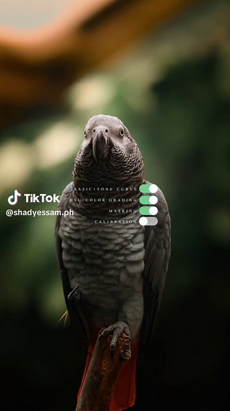 Before/After Photography with Nikon D850