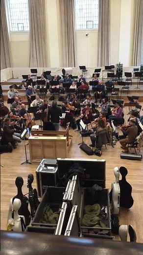 A work of (Moz)art ✨#classicalmusic #orchestra #mozart