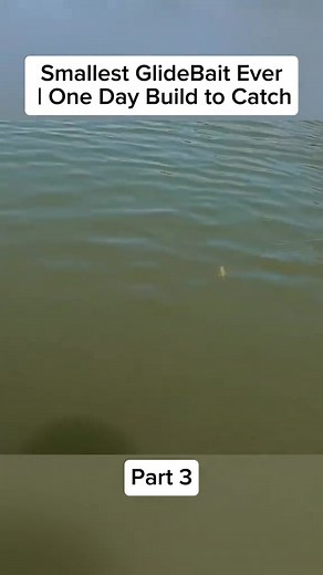 21K views · 240 reactions | Smallest GlideBait Ever | One Day Build to Catch Part 3 #mechanic #autobody #fishing #automechanic #fyp | Marling Baits | Facebook