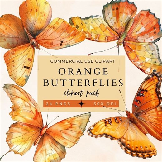 Orange Butterfly Clip Art: 24 PNG Illustrations (commercial Use) - Etsy