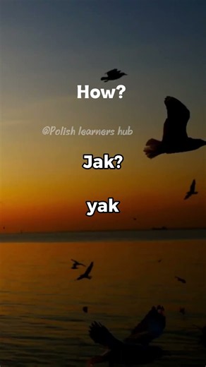 polish Learners Hub