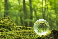 Qu’est-ce que le respect ?