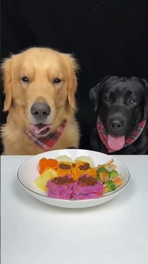 "Golden & Labrador First Kitchen Adventure 🐶🍗 | Too Cute to Miss!"