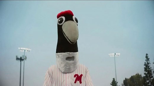 Mattress Firm TV Spot, 'How This Mascot Sleeps at Night' Song by Lionel Richie