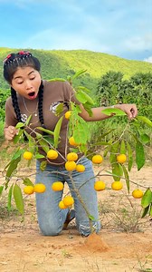 128K views · 1.4K reactions | Smart and useful ideas in the forest with single mothers | Top Creative | Facebook