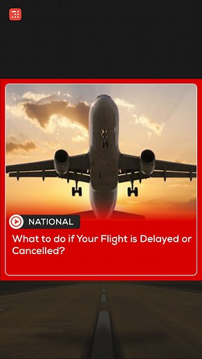 Inshorts on Instagram: "What to do if Your Flight is Delayed or Cancelled? #flights #rights #india #StayInformed #inshorts"