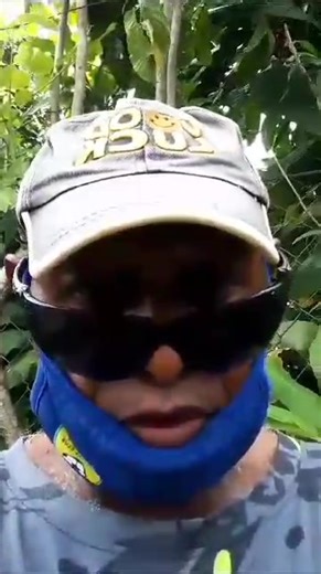 Discover a Trusted Company in PNG