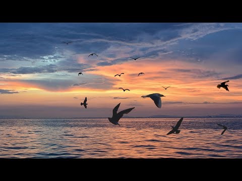 Oklasky - I Couldn't Imagine (Official Audio)