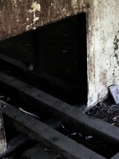 Black mask....#jeepdamageboc #fypage #fypシ゚viral #fitcheck #views #fyppppppppppppppppppppppp