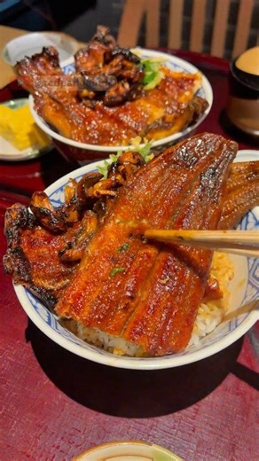 Ikan Sidat Jadi Makanan Mahal di Jepang | Red Panda ID