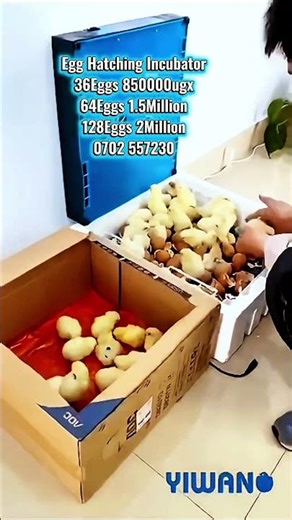 Automatic Egg Hatching Incubator Brooder Machine for Hatching eggs of various birds like chicken