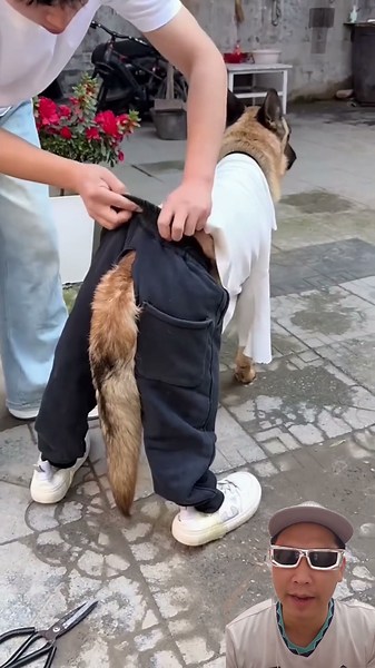 Clara thought the doggy would be angry ‼️ turns out the doggy is good #trending