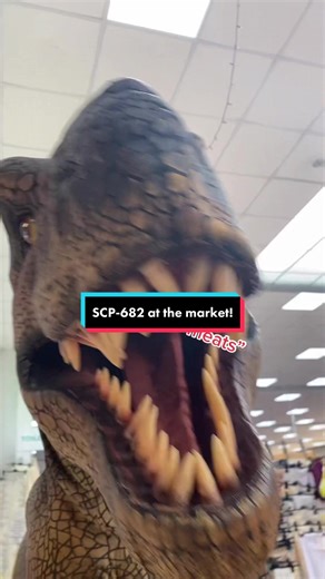 SCP-682 Encounters Humorous Situations at the Market