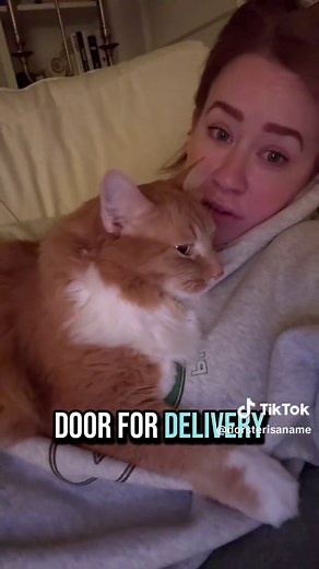 Understanding Orange Cats: Unique Traits and Behaviors