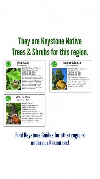 8.9K views · 123 reactions |  Practice nature stewardship in your...