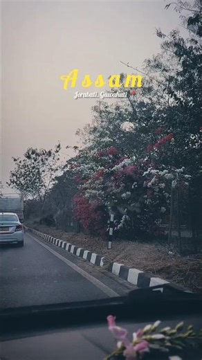 Beautiful Assam 🌸❤️#beautiful#assam#foryou