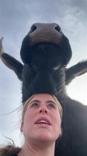 Tea time | time for tea