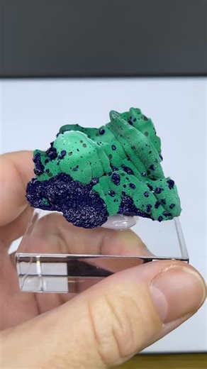 Malachite and Azurite Morenci Mine, Arizona, USA Ex. T.L. Potucek collection Size: 4.8 cm Price: $750 ( shipping fee) No: CAL11 We ship worldwide. Please DM to claim or get more details. To see more of our minerals visit www.SpiriferMinerals.com #spiriferminerals #spirifer #mineralcollecting #mineralspecimen #mineralcollection #rockhounding #rockhound #minerals #mineral #rocks #rock #fineminerals #mineralogy #geology #crystalsforsale #mineralsforsale #chrysocolla #malachite #planetmine #arizonas