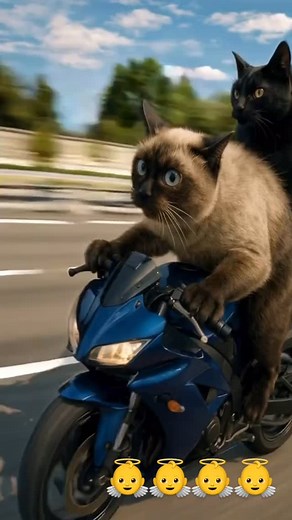 CINEMA VÍDEOS on Instagram