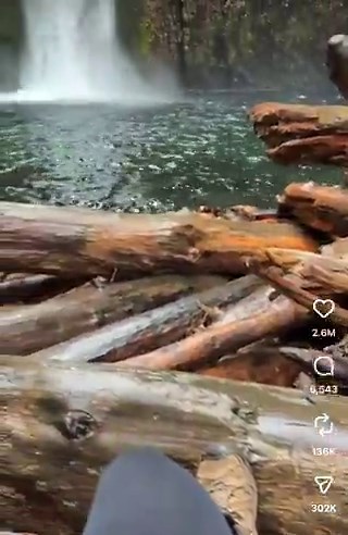 'masculine' posting is about either how much weight you can lift after your girlfriend cucks you or videotaping literal play-time where you're pretending to die like a gay blade runner