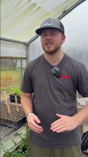 What is cold stratification? #growhoss #seedstarting #getdirty