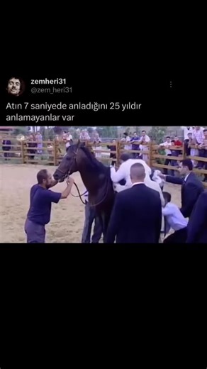 MA7 (@mataseven1) adlı kullanıcının orijinal ses - MA7 ile oluşturduğu videoları