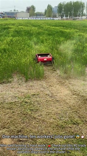 Remote Control Mower: Gaming in Farming! 🎮🚜