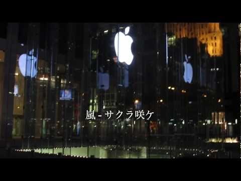 嵐(ARASHI) - サクラ咲ケ(Sakura Sake)