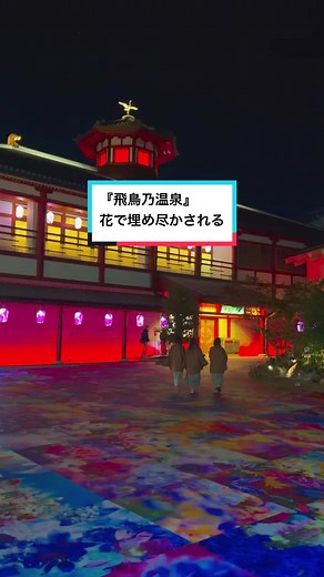 飛鳥乃温泉と蜷川実花の美しいコラボレーション
