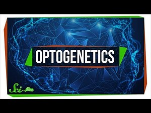 Optogenetics: Using Light to Control Your Brain