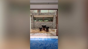 Man builds giant aviary in the middle of his house - and wakes up with 20 songbirds