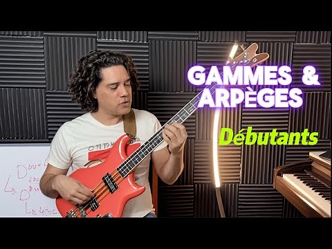 Basse Débutant : 5 Fondamentaux INDISPENSABLES (Notes, Gamme, Arpèges)