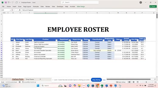 Employee Roster Template: HR Excel Staff Directory With Salary Tracker - Etsy Australia