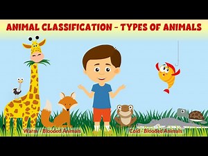 Types of Animals - Animal Classification - Animal Kingdom for Kids - Learning Junction #education - Videos For Kids