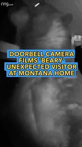 48K views · 347 reactions | BEAR’S THERE: Doorbell camera footage...
