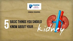 Premier Integrated Labs on Reels