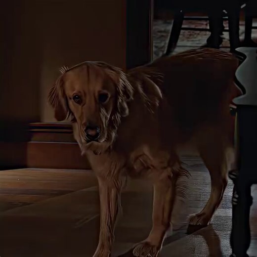 This movie made me cry 😭 "The demon is coming but he has to get through me first"....