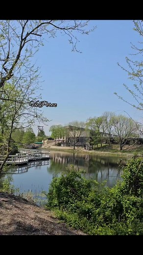 Zip line at the Creation Museum Cincinnati #CreationMuseum #zipline #bucketlist | Vie Perez