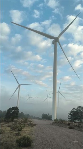 Parque Eólico