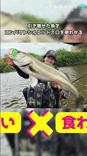 【圧倒的アピール力】まさに小さな巨人！フラットサイドリップレスミノー「ベイルーフ バルク95F」
