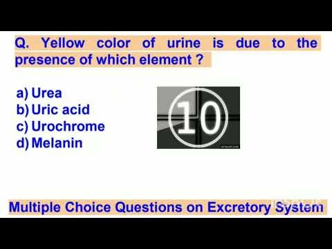 Multiple Choice Questions on Excretory System